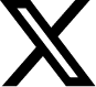 x icon